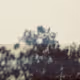 The Nature of Built Things