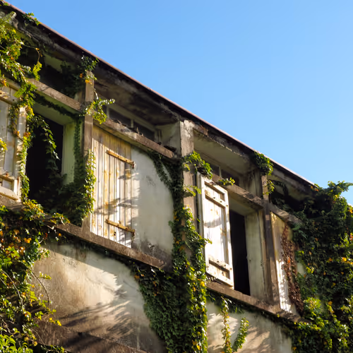 Cities through the lens