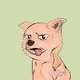 Shelter of Doge