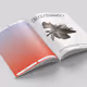 Zora Zine Print Issue 001: Redemption Token