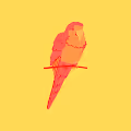 ParrotStoria