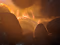 Wolo's Fire