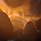 Wolo's Fire
