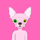 Chihuahua Gang GiF Club