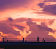 Wanders Through the Sky