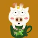 Teacup Pig