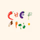 chef-pino Collection