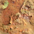 We All Rust In Time