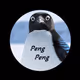 PengPengCoin