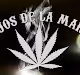 Cannabis Gourmet