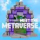 Meet The Metaverse V2