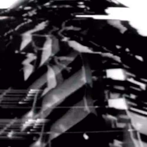 fluxus visions