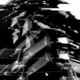 fluxus visions