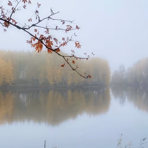 Finland's Wonderland: Autumn