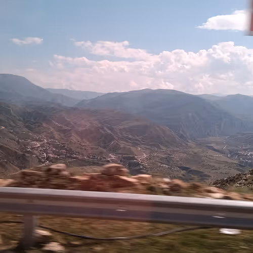 Untitled Collection #3599033955