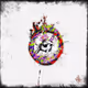 Akashi30 X Collabs