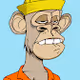 Bored Ape Yacht Party