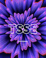 NFT BY TSSE