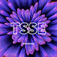 NFT BY TSSE
