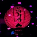 Vibrant Nights: A Collection of 30 Lanterns