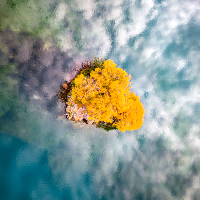 No Tomorrow by Deb Clark