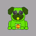 Pug Puppies