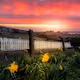Magical Irish Sunrises