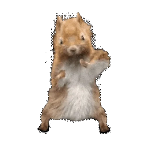 JackSquirrel