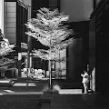 Invisible Light (IR)