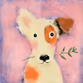 Roksy Coin/let's help pets together