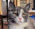 Alphabeticat