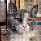 Alphabeticat