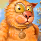 Cat Motlik