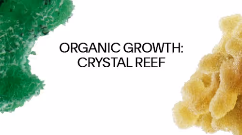 2 OGCR floor 0.003495