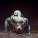 The Invasion by Neo 0x