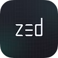 ZED RUN Posters