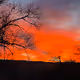 Amazing Sunset's