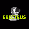 erectrus gallery