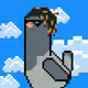 Pigeon Passes