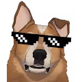 NFT Doggo Collection