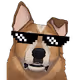 NFT Doggo Collection
