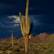 Arizona Living Collection