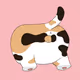 CAT HIP