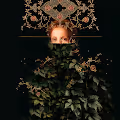 Frank Moth x TokenEditions