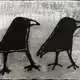 Birds_by_pia_casanova
