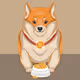 Kishu inu collection