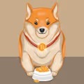 Kishu inu collection