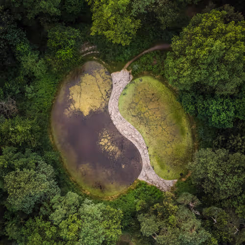 ArtFromAbove editions on manifold