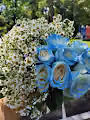 blue rose V2