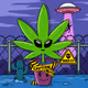 FLWRS Official